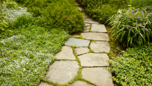 How To Choose Landscaping and Hardscaping For Longevity And Beauty
