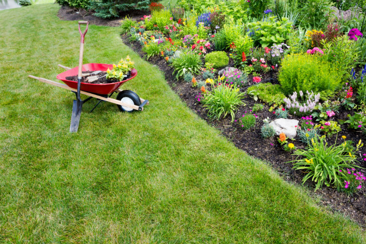 9 Landscaping New Years Resolutions