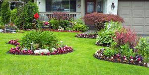 Make-Your-Outdoor-Landscape-Pop-With-These-Easy-Design-Tips-01