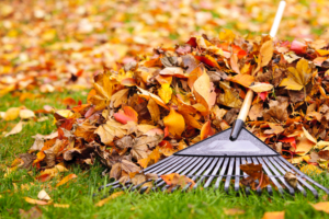10 Steps to Winterize Your Tulsa Lawn and Landscape