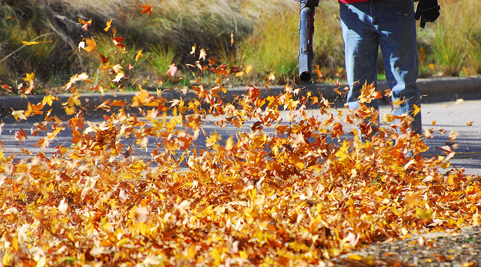 Fall Winter Cleanup In Broken Arrow, Fall Clean Up Landscaping