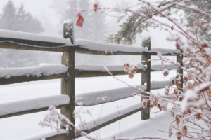 Winterization Tips To Protect Residential Landscape Systems