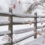 Winterization Tips To Protect Residential Landscape Systems