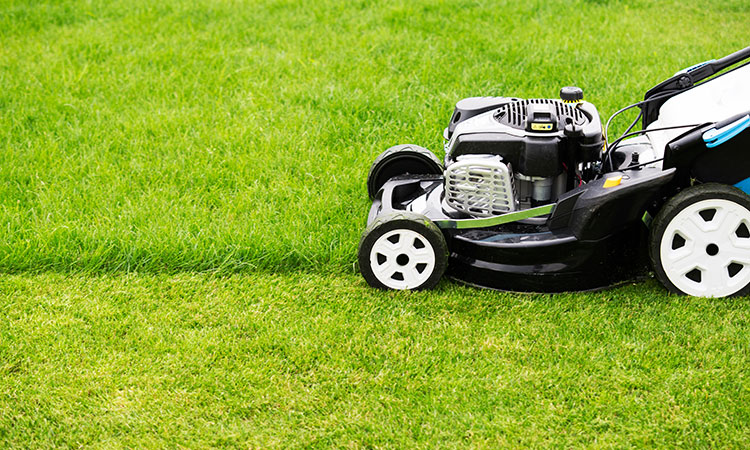 lawn-mowing-care-professional