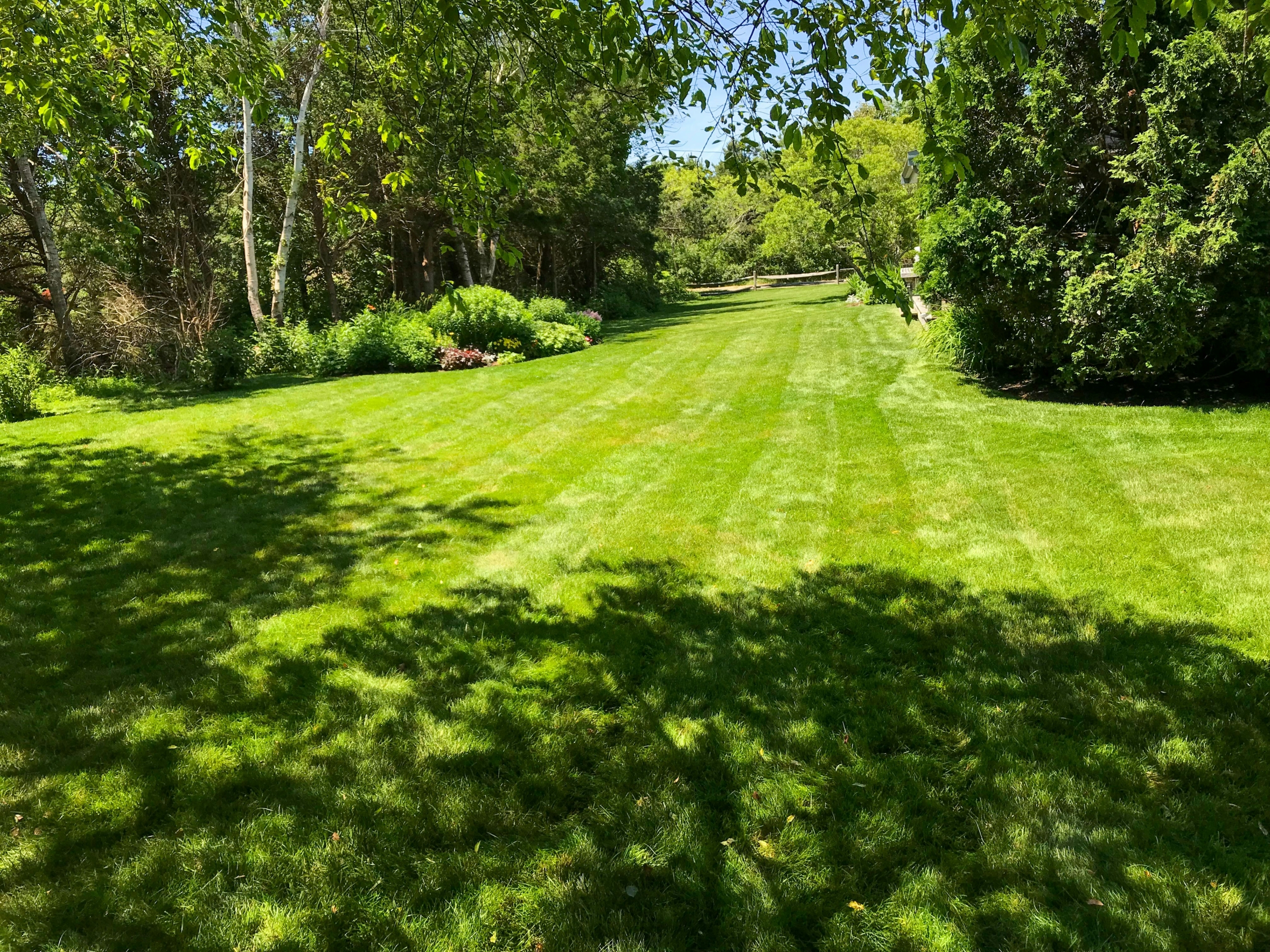 Lawn Maintenance and Lawn Care: How They Work Together