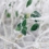 Oklahoma Grasses, Groundcovers And Perennials For Elegant Winter Interest